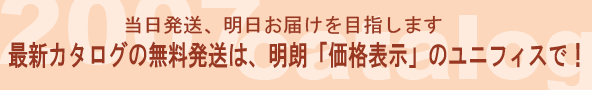 ƒ̃J^O𖳗